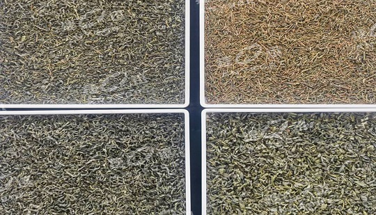 Il selezionatore di colori DF migliora la qualità e l'efficienza del tè Xixiang.