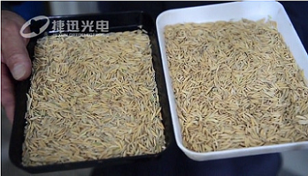 Come risolvere il tasso sorprendentemente alto di lavorazione del riso? --- parte 2
