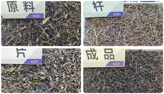 Quale modello di selezionatrice del colore del tè può davvero ottenere le prestazioni di selezione di 
