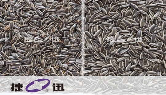 Chi aiuta il fornitore di qualità alimentare di Qiaqia Tenghongyuan Trade a guidare la nuova era della qualità?
