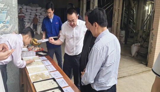 [Sito di selezione della qualità] L'evento di esperienza in loco per i nuovi prodotti di selezione della qualità del riso della serie PRO si è tenuto con successo nel Guangxi!