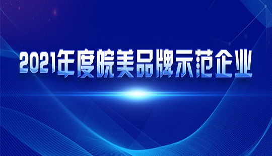 Anysort è stata selezionata come Anhui Perfect Brand Demonstration Enterprise 2021!