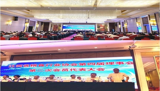  AnySort Ordinamento del colore 6S Ampowers del processo Jiangxi Industria della lavorazione del riso da aggiornare
